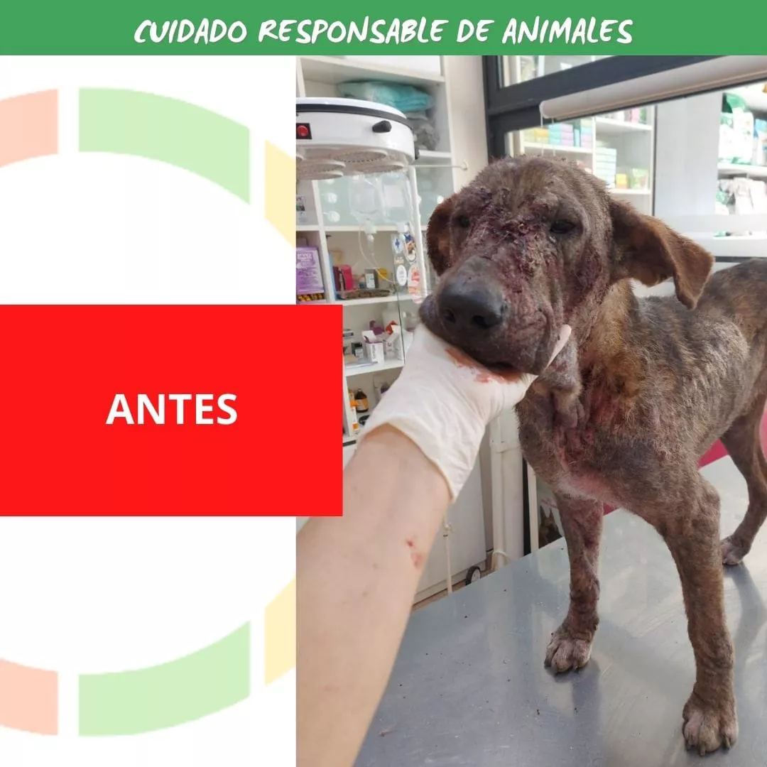 1e0b2d48-bc9c-456d-9711-0d5f51855d75