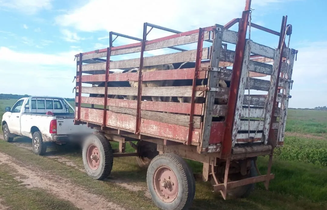 WhatsApp Image 2023-05-15 at 11.06.12 AM