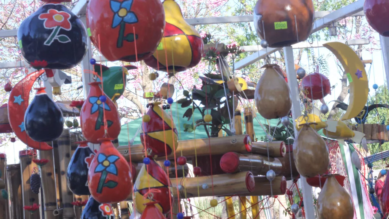 WhatsApp Image 2022-10-03 at 8.29.59 AM