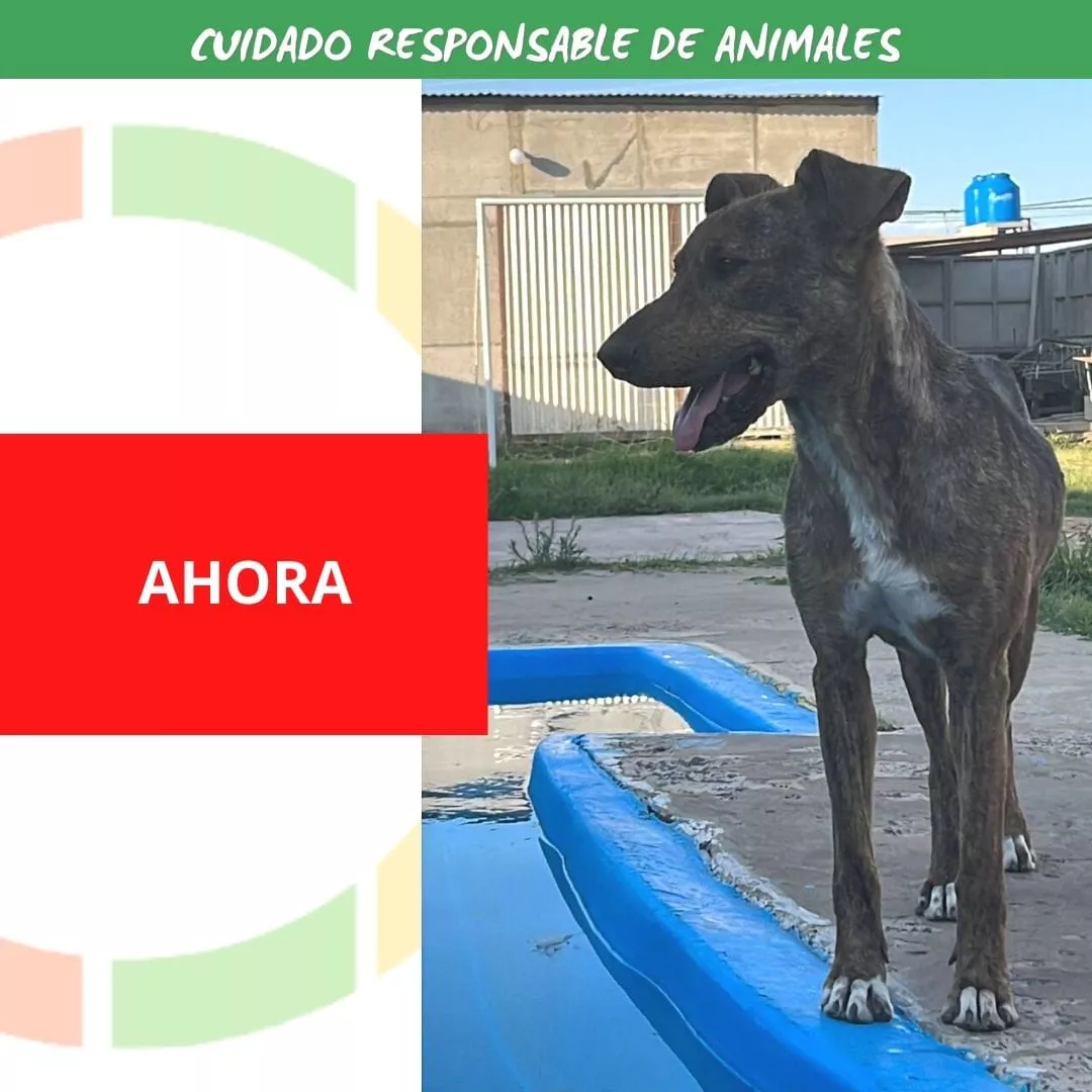 111e8fe7-1ef5-43c8-89d4-160335f13d71