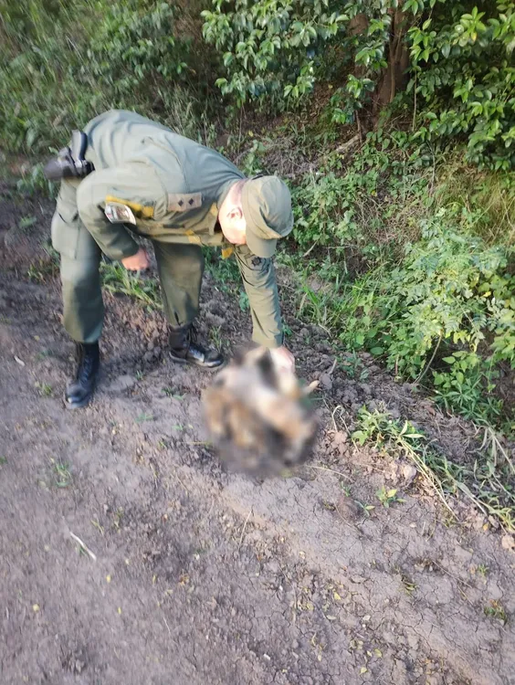 WhatsApp Image 2023-05-15 at 11.06.11 AM