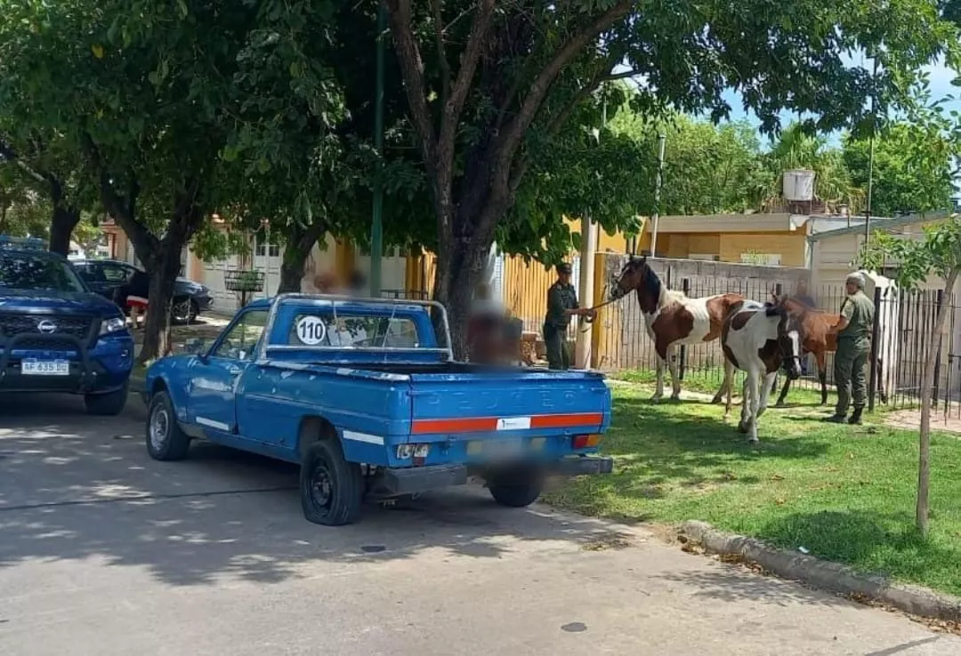 WhatsApp Image 2023-02-15 at 4.47.17 PM