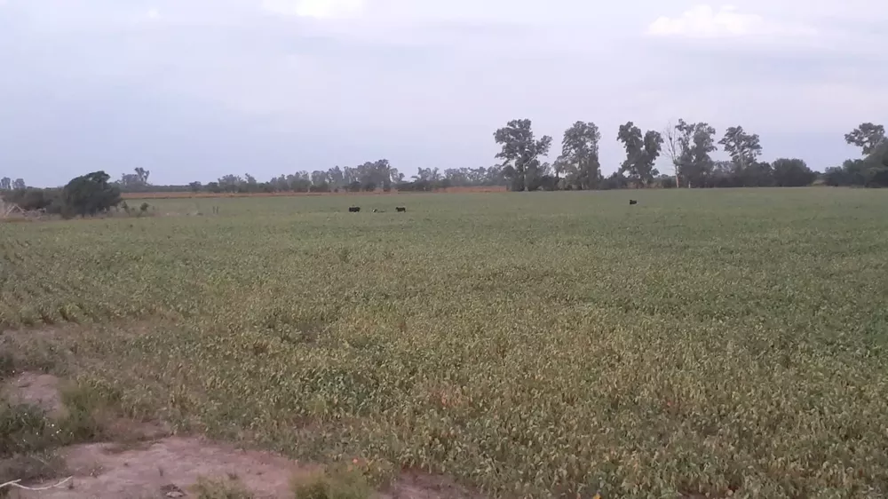 WhatsApp Image 2023-03-22 at 11.04.25 AM