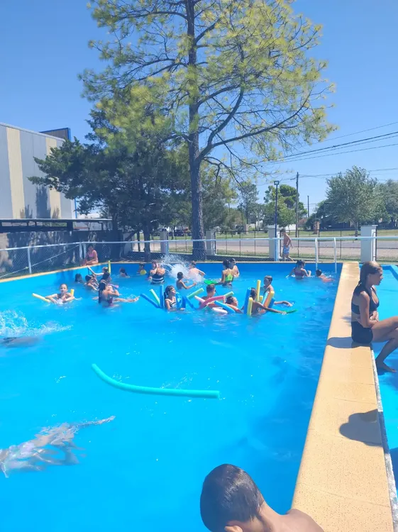 WhatsApp Image 2024-02-09 at 2.46.24 PM