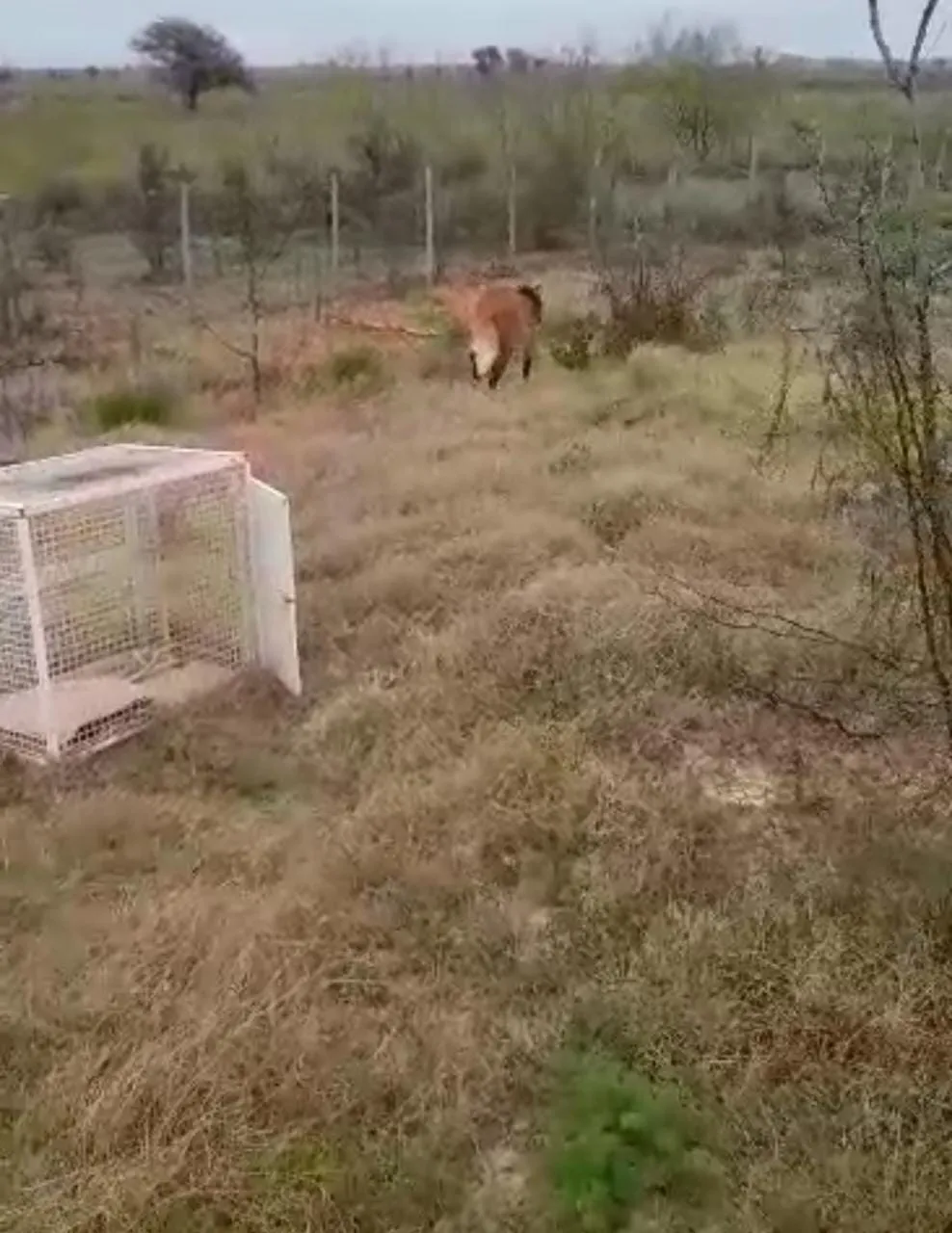 WhatsApp Image 2023-07-07 at 8.59.28 PM (1)