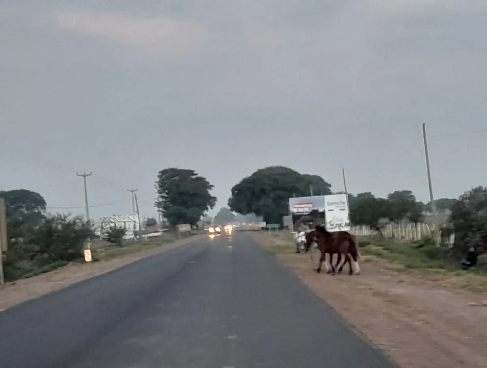 WhatsApp Image 2023-06-08 at 12.12.48 PM