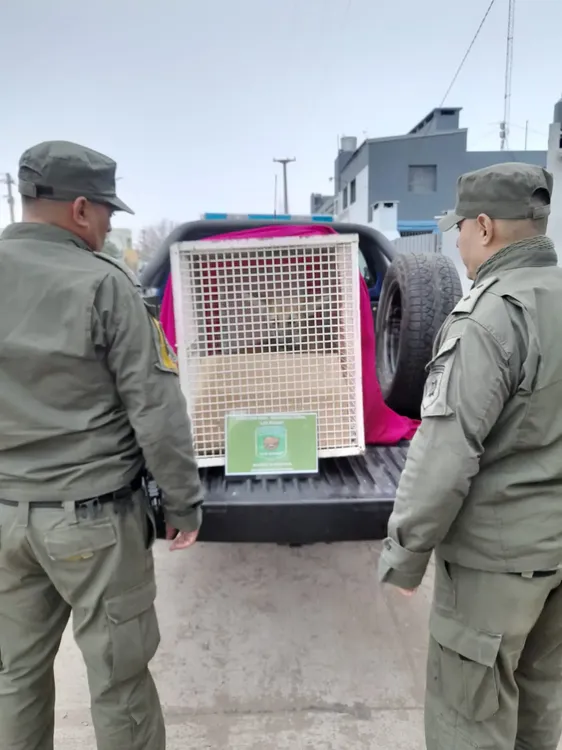 WhatsApp Image 2023-07-07 at 8.59.32 PM