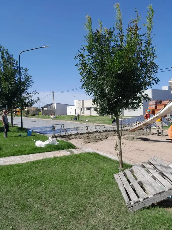 WhatsApp Image 2024-03-21 at 4.30.55 PM (1)