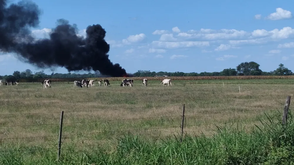 IMG_20250130_163413879