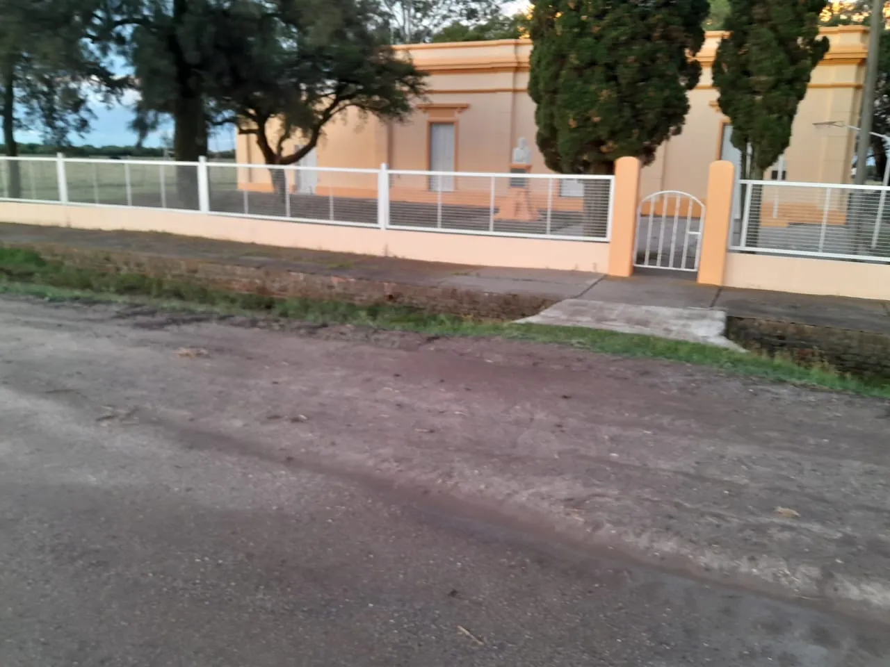 WhatsApp Image 2024-11-25 at 9.03.52 PM (1)