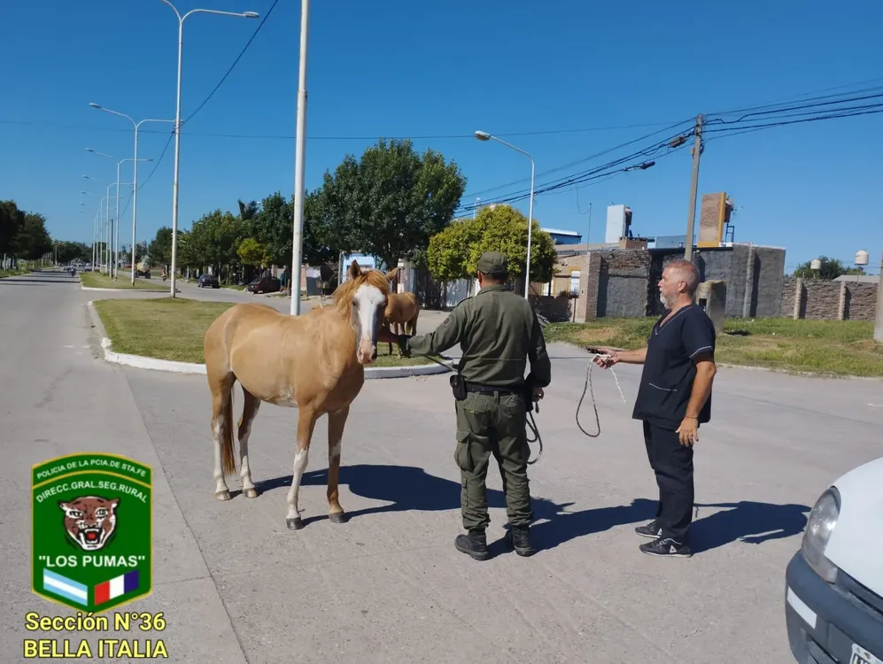 WhatsApp Image 2024-01-25 at 1.11.34 PM