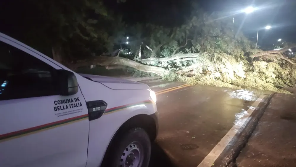 WhatsApp Image 2024-03-20 at 9.31.56 PM