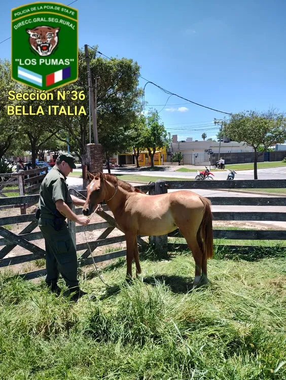 WhatsApp Image 2024-01-23 at 10.08.38 AM