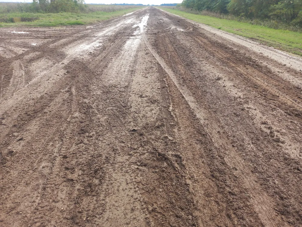 WhatsApp Image 2025-05-06 at 12.24.37 PM