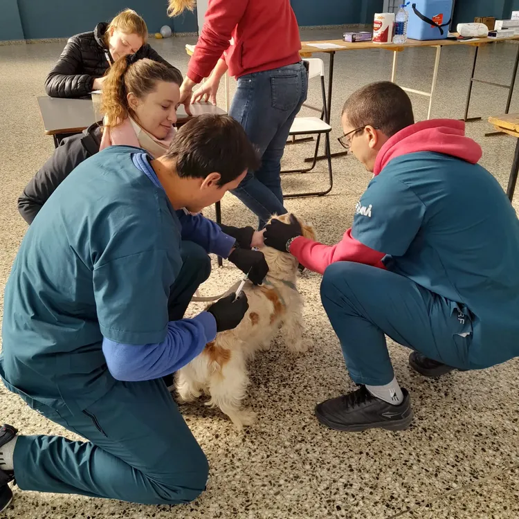 WhatsApp Image 2023-08-14 at 8.53.24 AM