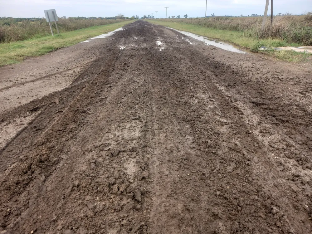 WhatsApp Image 2025-05-06 at 12.24.36 PM