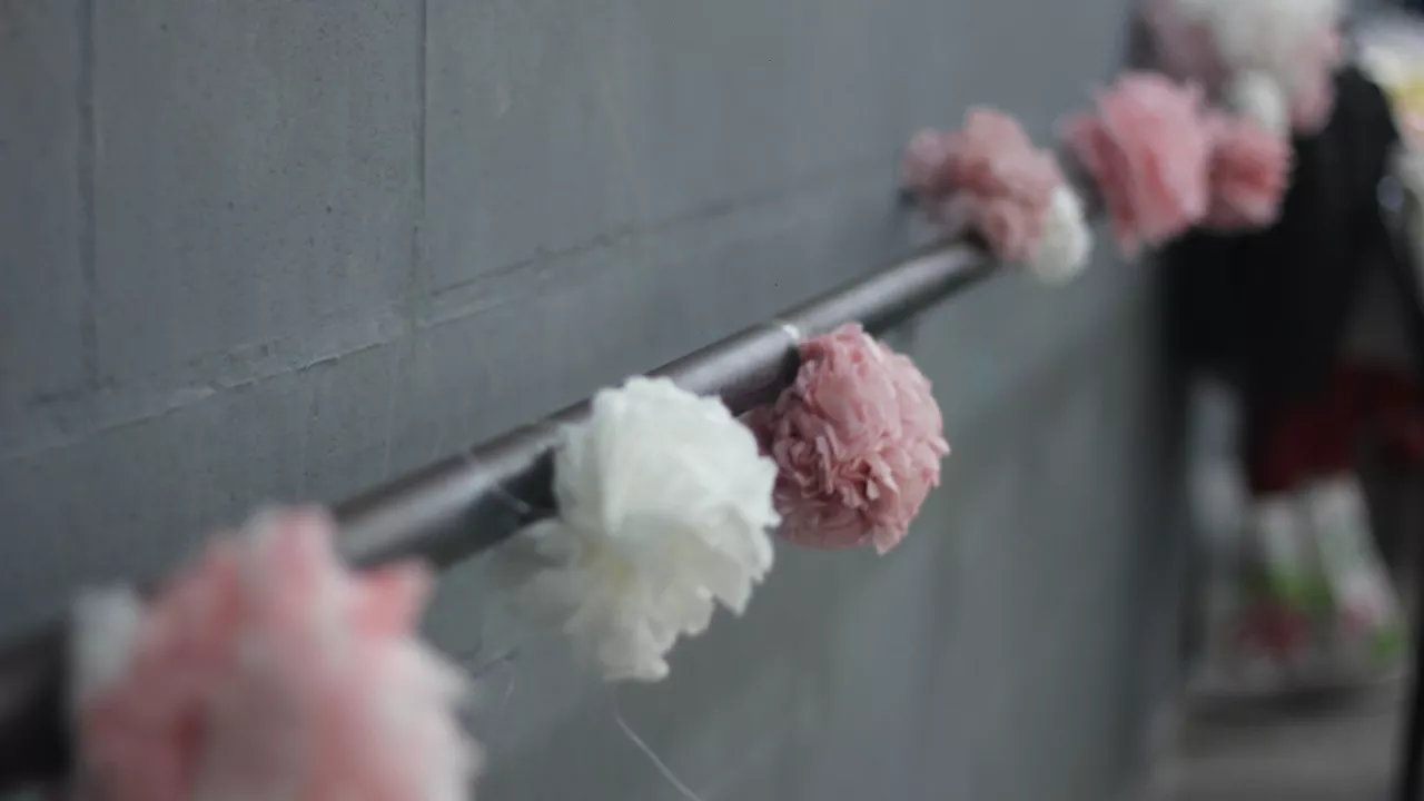 WhatsApp Image 2022-09-22 at 8.53.29 AM