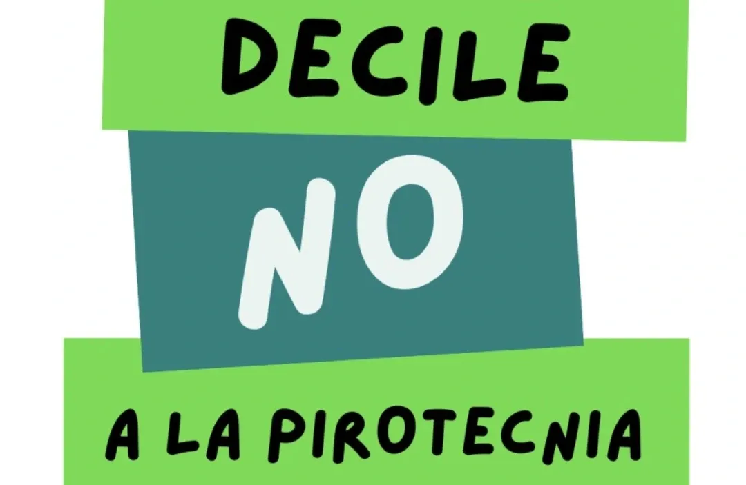 IMG_20241218_105823_798~2