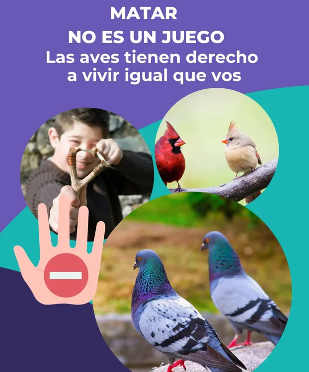 58142a789c5c4b528bcafb40333aec71