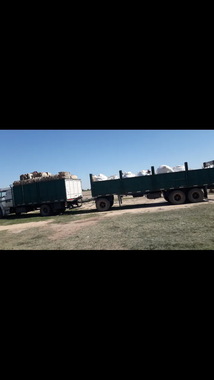IMG-20251031-WA0007