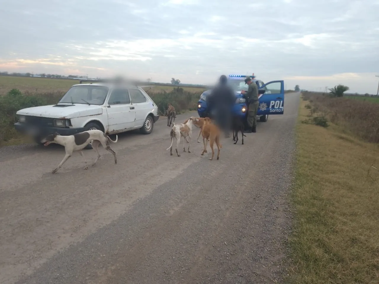 WhatsApp Image 2023-07-03 at 9.35.02 AM