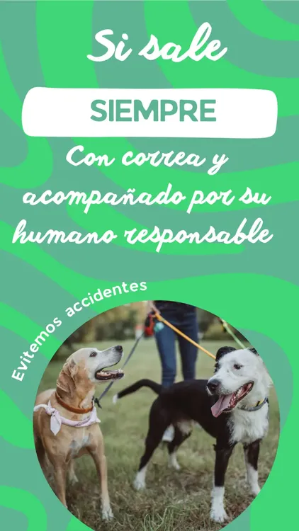 WhatsApp Image 2023-10-24 at 4.44.42 PM (2)