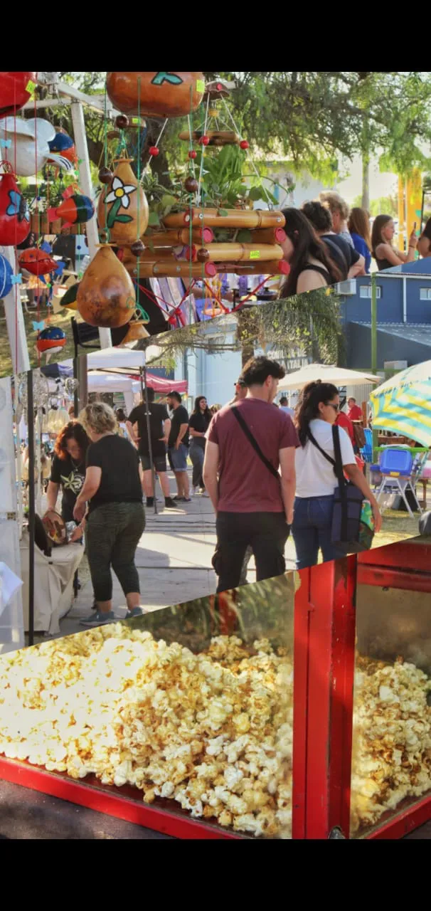 WhatsApp Image 2023-10-09 at 8.48.11 AM