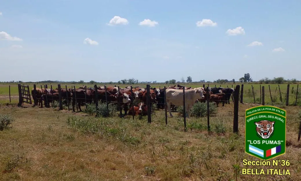 WhatsApp Image 2024-02-08 at 10.35.20 PM