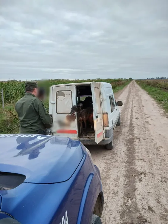 WhatsApp Image 2023-06-07 at 9.04.27 AM