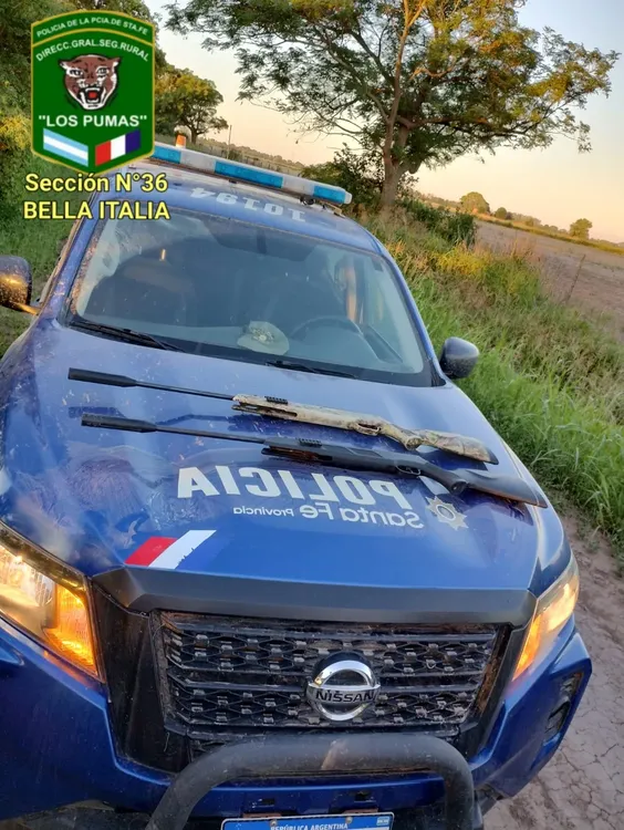 WhatsApp Image 2023-12-11 at 9.50.19 PM