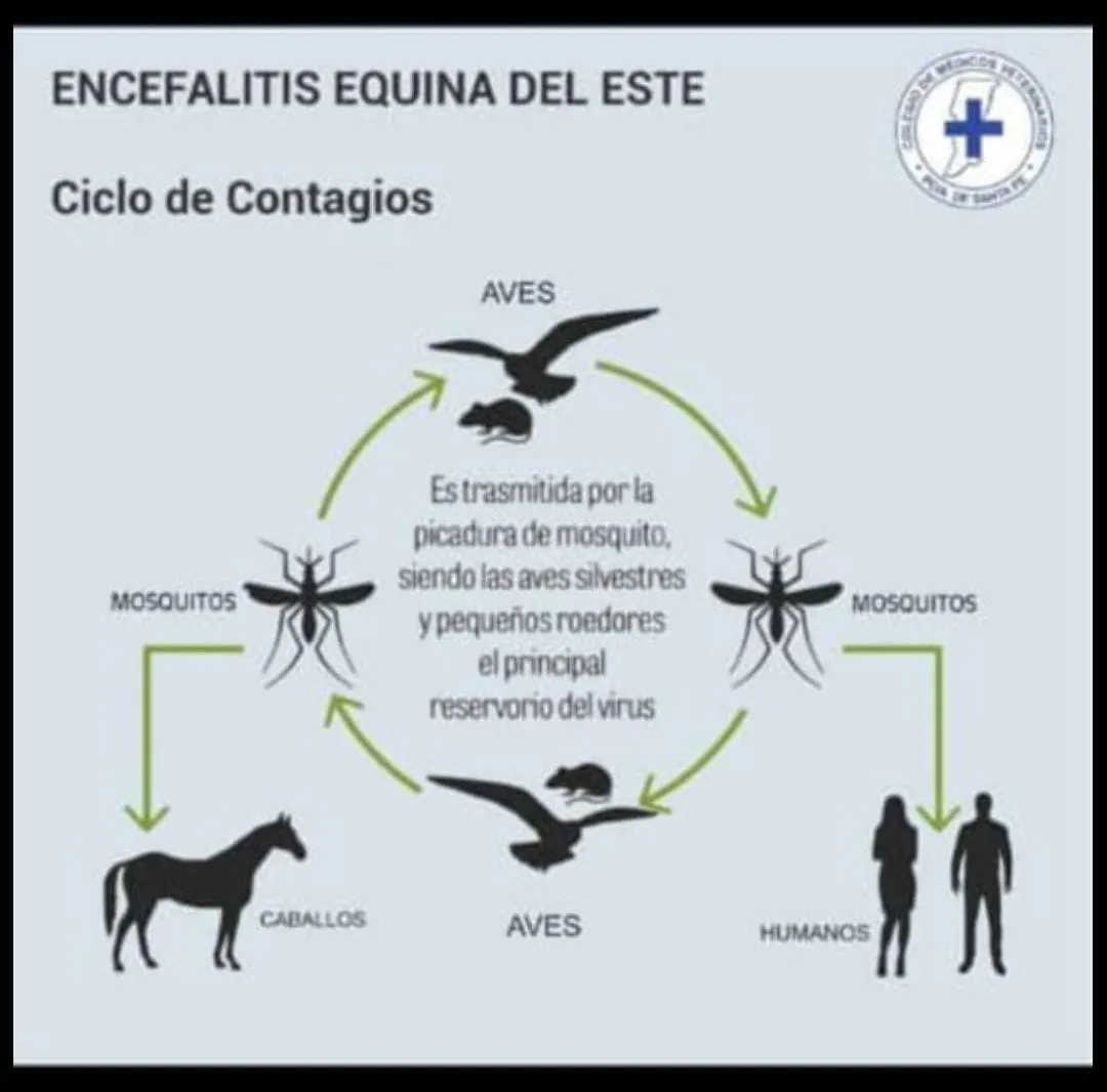 WhatsApp Image 2023-11-27 at 8.35.27 PM