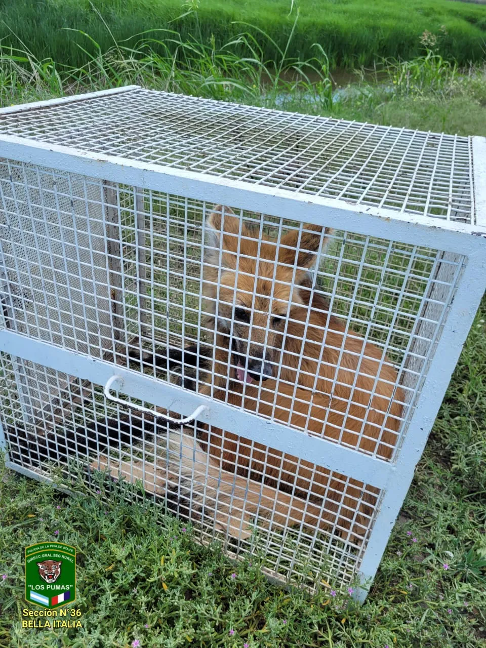 WhatsApp Image 2023-12-01 at 10.45.30 PM (1)