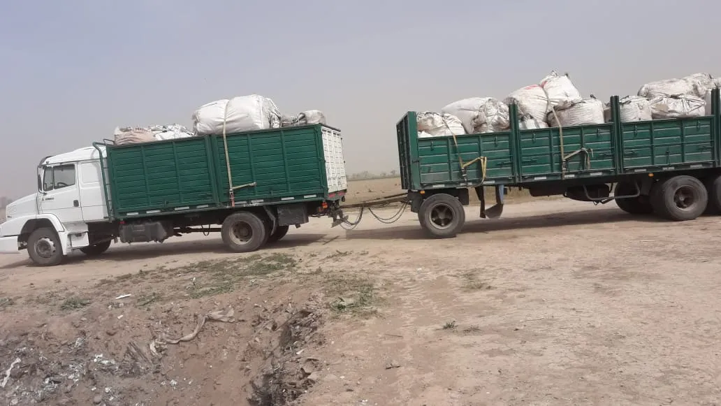 WhatsApp Image 2023-09-12 at 9.50.54 AM (1)