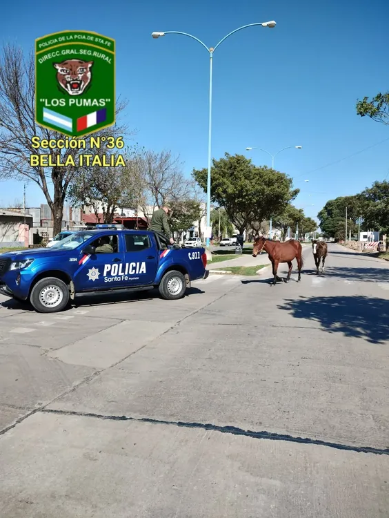 WhatsApp Image 2023-08-01 at 10.12.40 AM