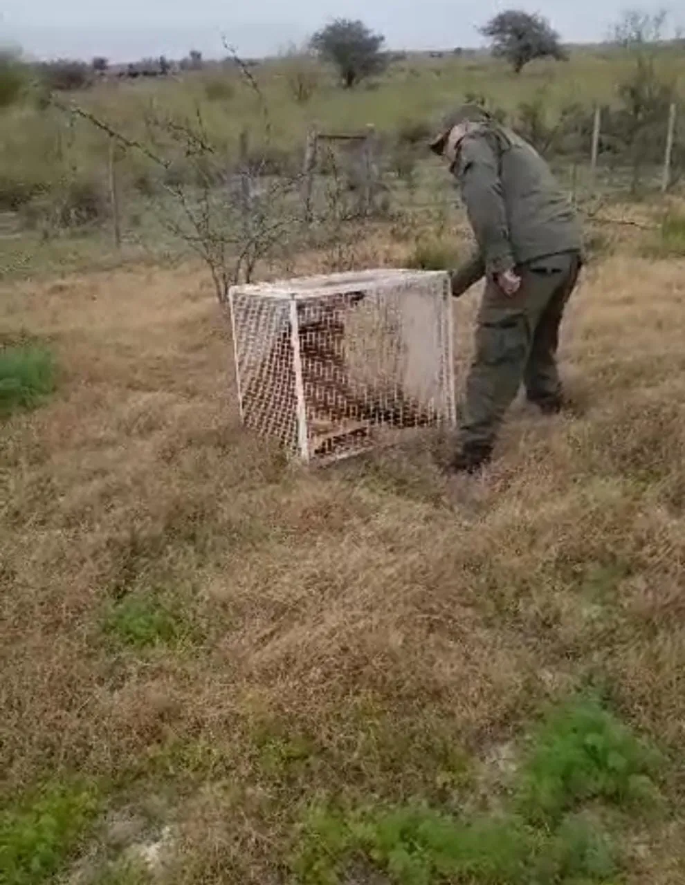 WhatsApp Image 2023-07-07 at 8.59.28 PM