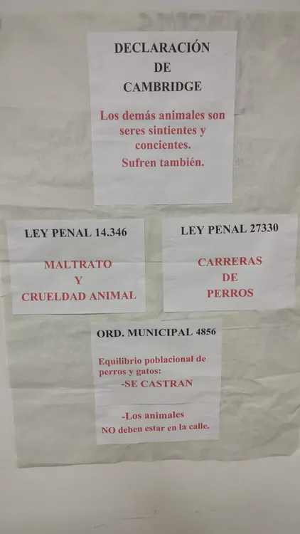 WhatsApp Image 2023-11-29 at 4.04.55 PM