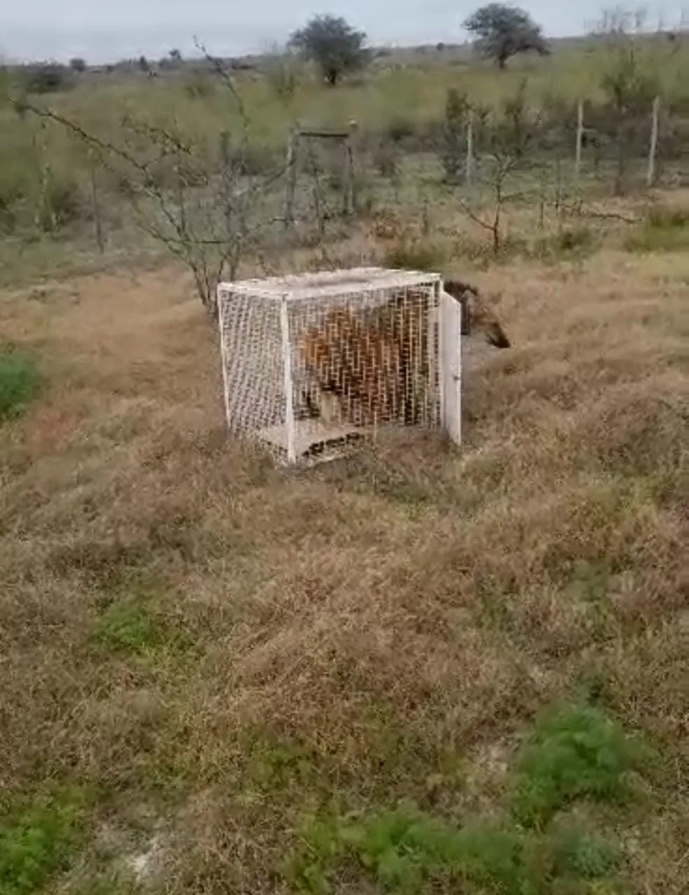 WhatsApp Image 2023-07-07 at 8.59.27 PM