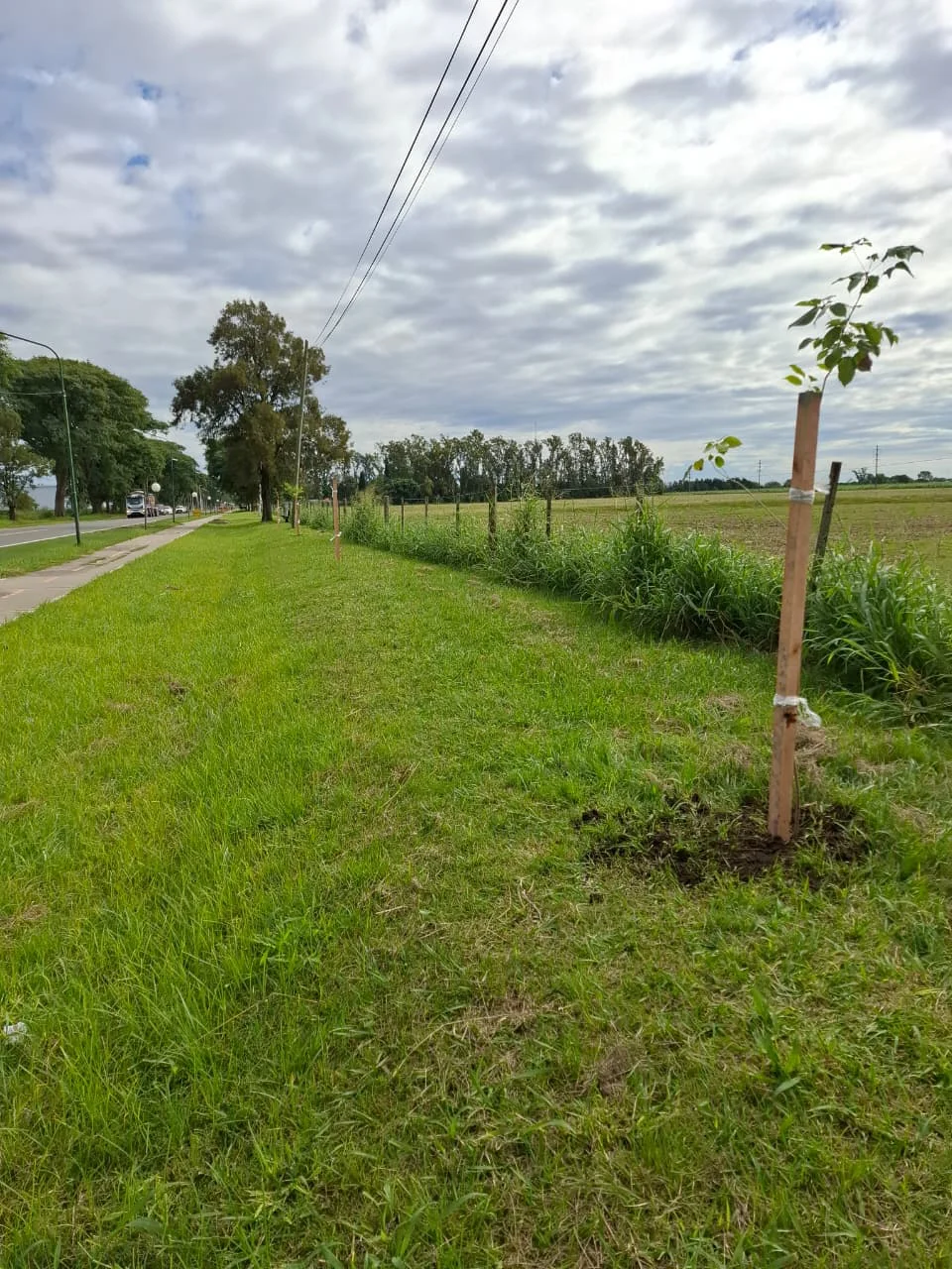 IMG-20260629-WA0031