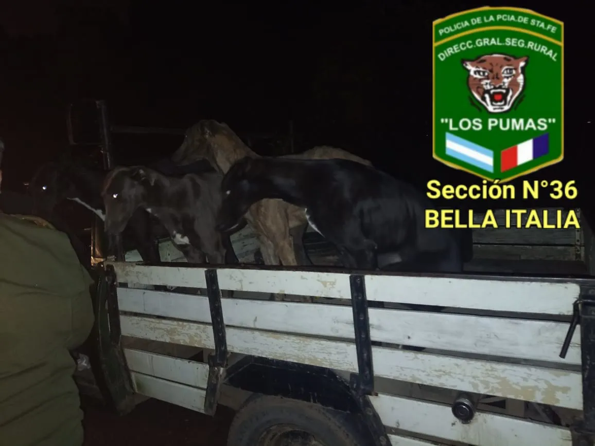 WhatsApp Image 2023-07-15 at 11.01.15 PM