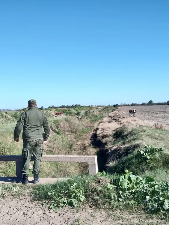 WhatsApp Image 2023-06-14 at 10.34.44 PM