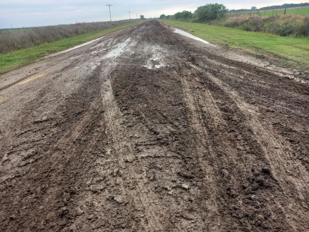 WhatsApp Image 2025-05-06 at 12.24.35 PM