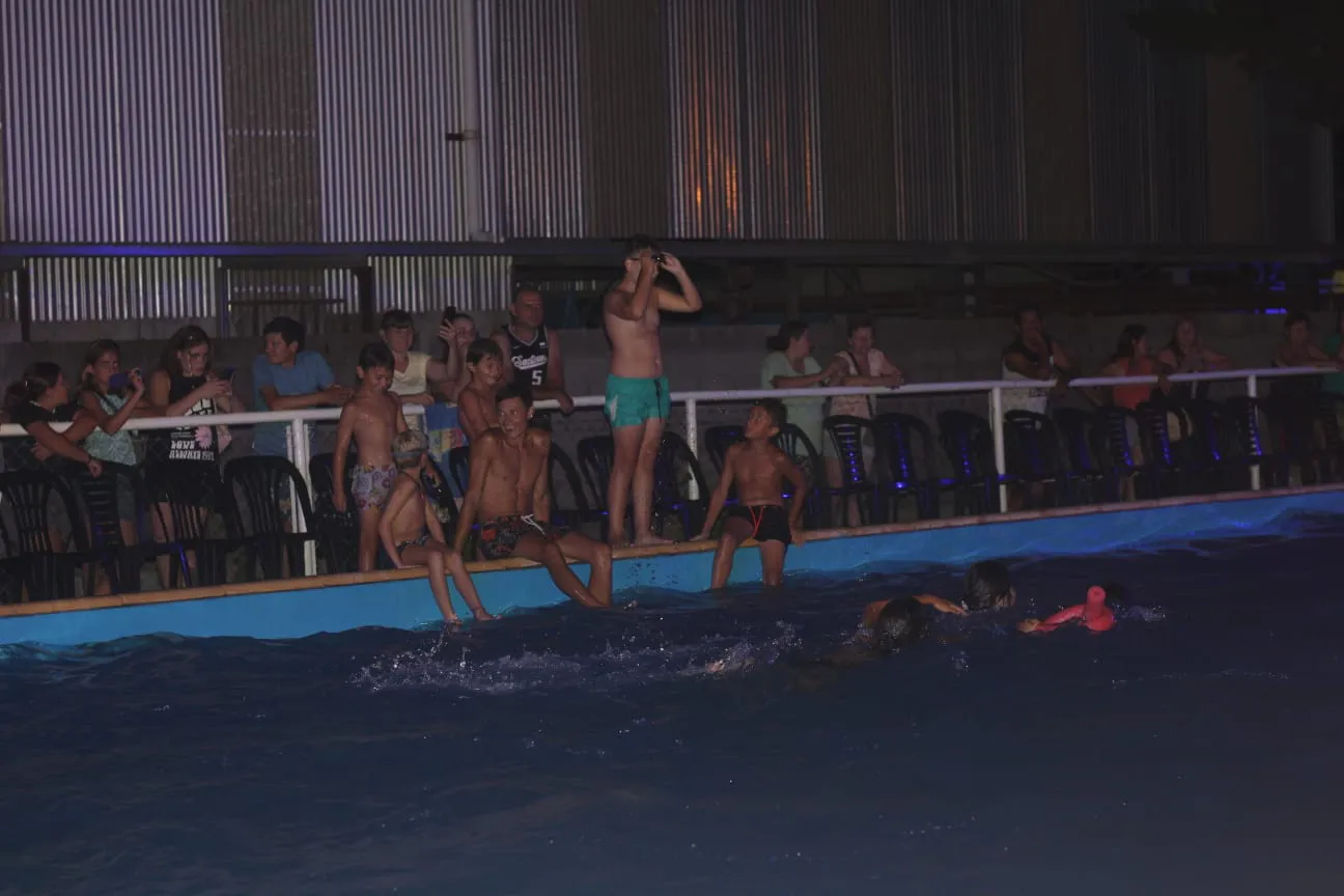 WhatsApp Image 2024-02-01 at 9.04.56 AM (1)