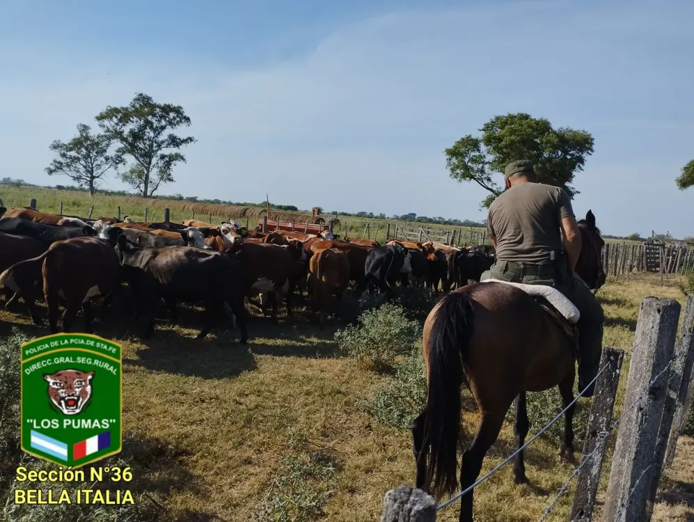 WhatsApp Image 2024-02-08 at 10.35.21 PM