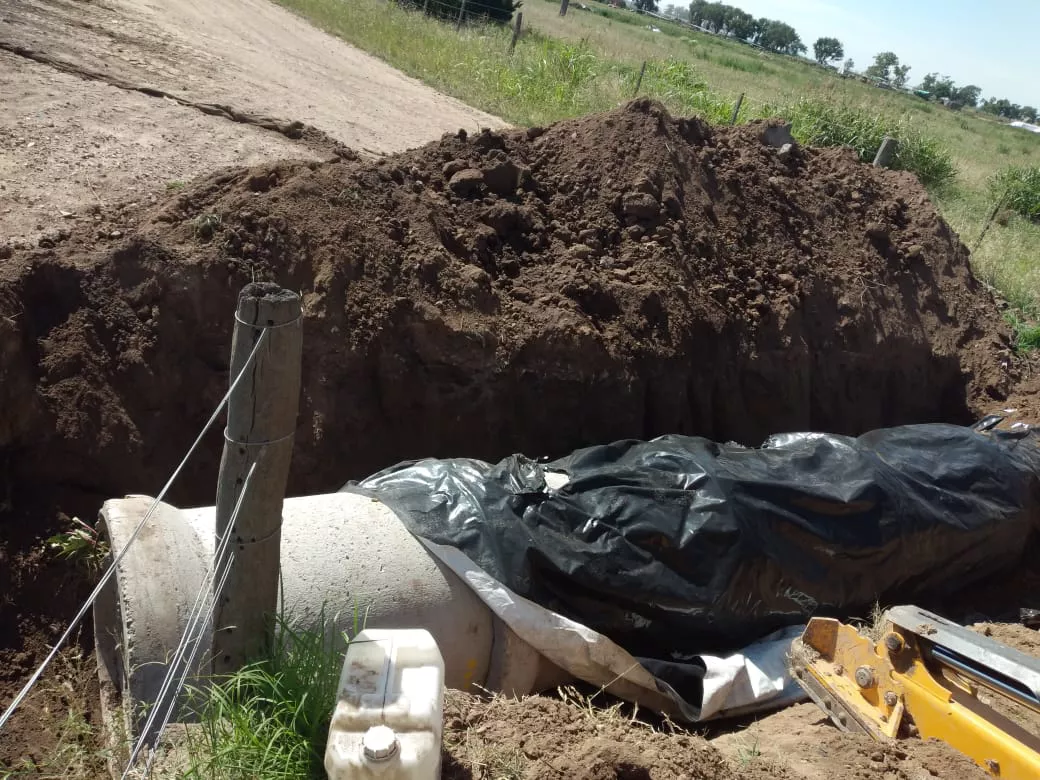 WhatsApp Image 2021-12-01 at 10.11.47 AM