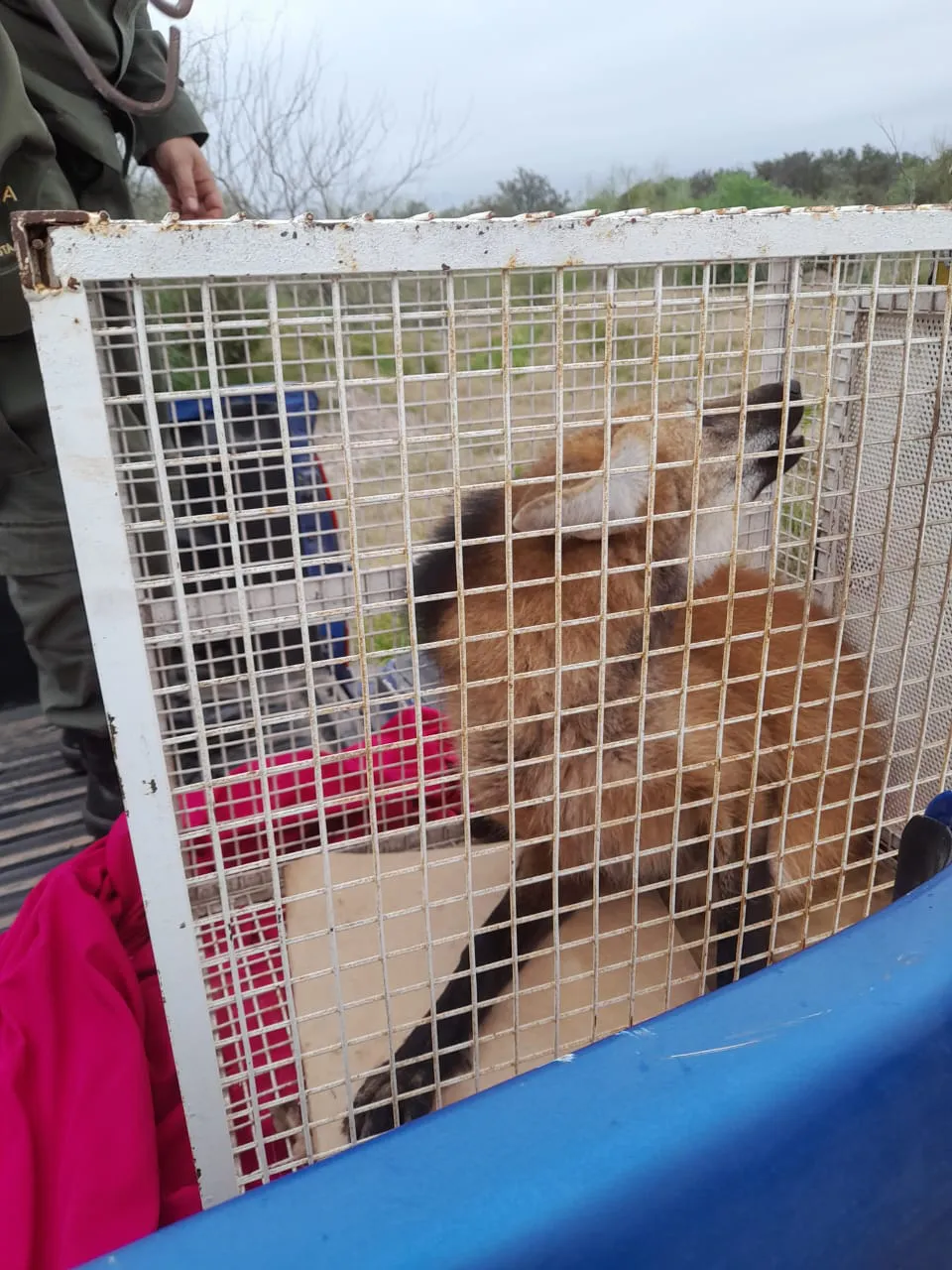 WhatsApp Image 2023-07-07 at 8.59.31 PM