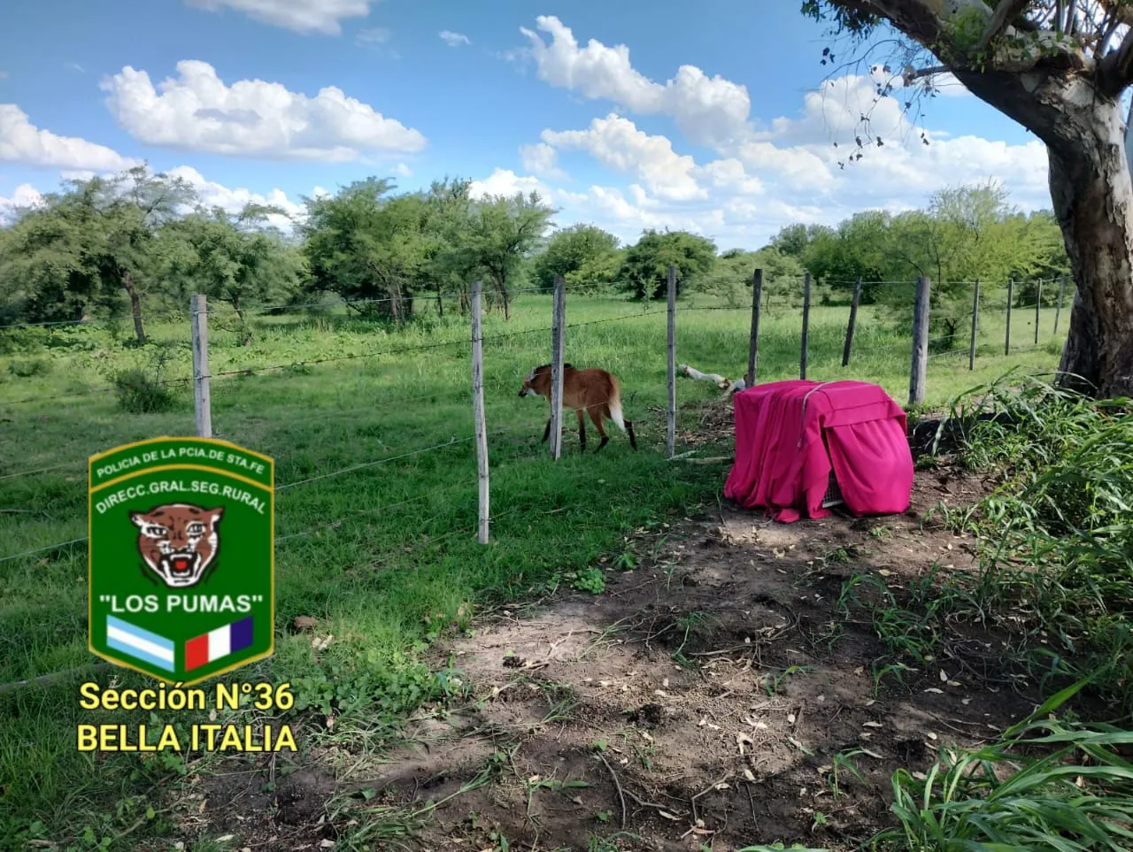 WhatsApp Image 2023-11-28 at 10.48.10 AM