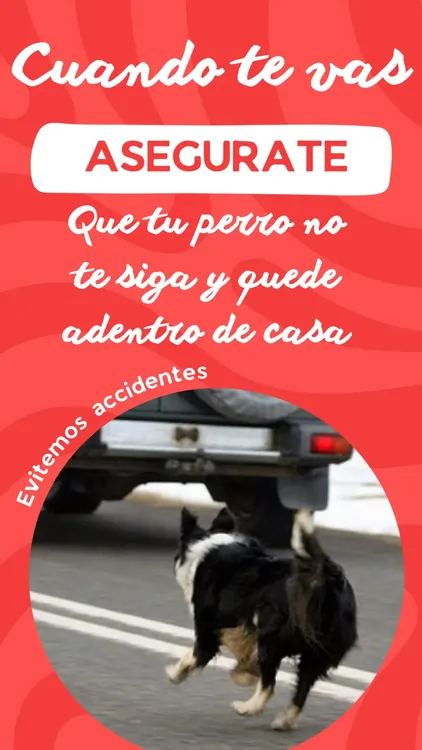 WhatsApp Image 2023-10-24 at 4.44.42 PM