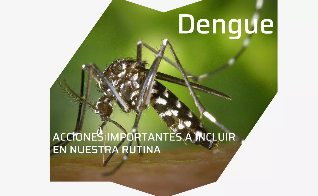 destacada-medidas-dengue-1070x660