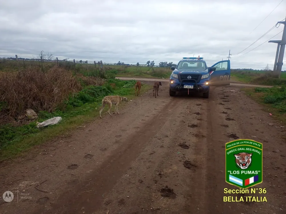 WhatsApp Image 2023-07-14 at 7.33.58 AM