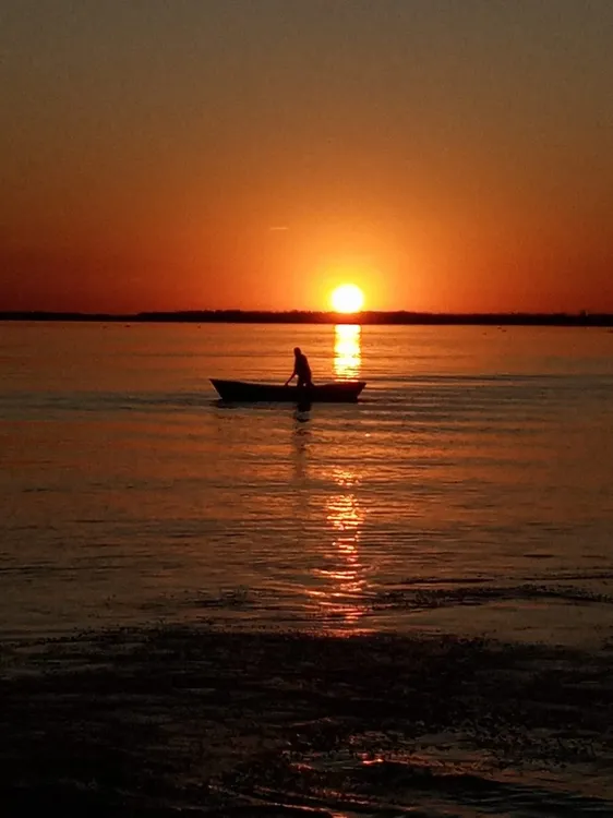 WhatsApp Image 2023-06-05 at 1.41.58 PM